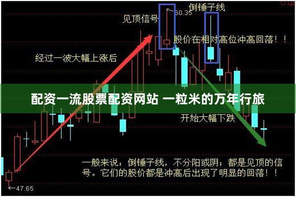 配资一流股票配资网站 一粒米的万年行旅