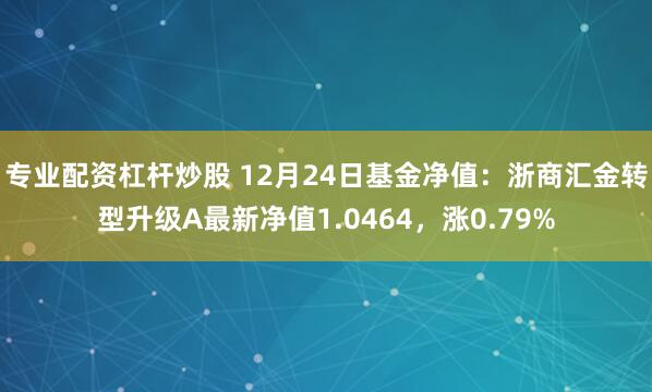 专业配资杠杆炒股 12月24日基金净值：浙商汇金转型升级A最新净值1.0464，涨0.79%