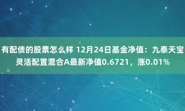 有配债的股票怎么样 12月24日基金净值：九泰天宝灵活配置混合A最新净值0.6721，涨0.01%