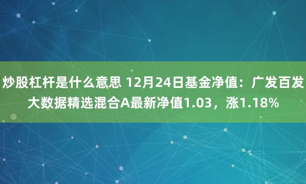 炒股杠杆是什么意思 12月24日基金净值：广发百发大数据精选混合A最新净值1.03，涨1.18%