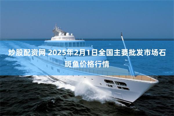 炒股配资网 2025年2月1日全国主要批发市场石斑鱼价格行情