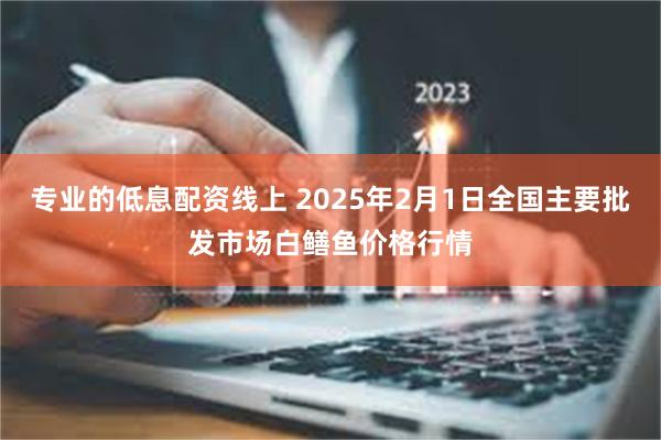 专业的低息配资线上 2025年2月1日全国主要批发市场白鳝鱼价格行情