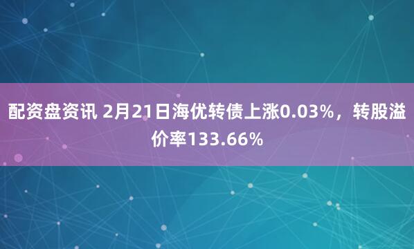 配资盘资讯 2月21日海优转债上涨0.03%，转股溢价率133.66%