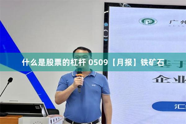 什么是股票的杠杆 0509【月报】铁矿石